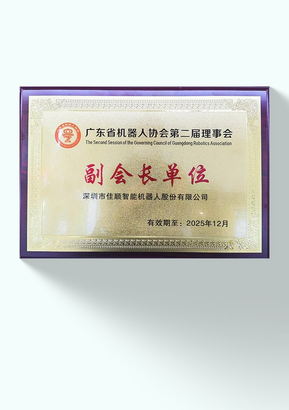 广东省机器人协会副会长单位