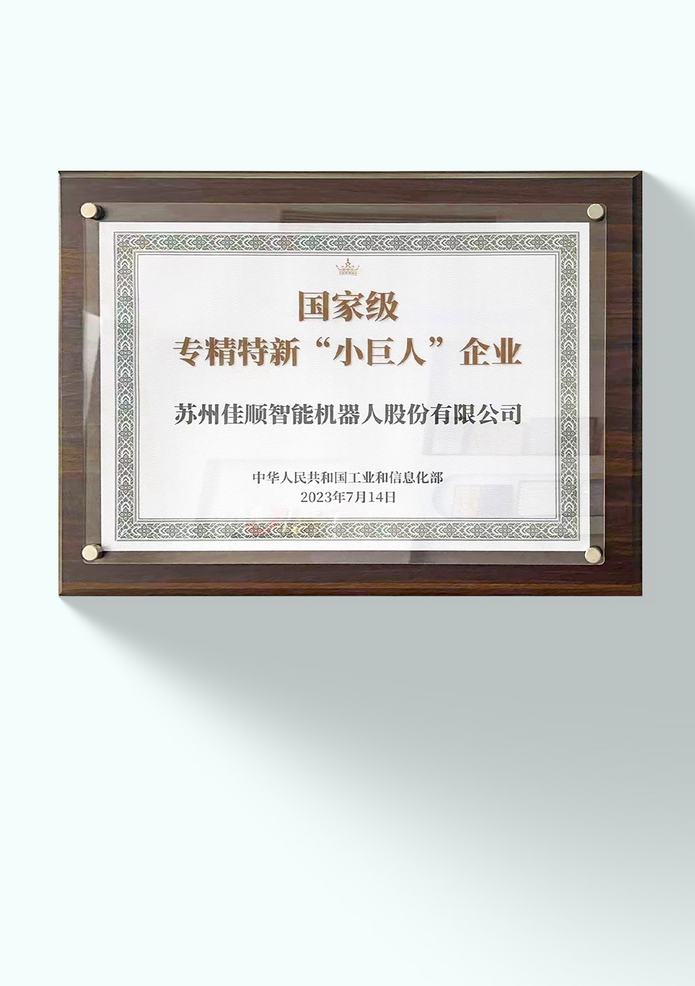 国家级专精特新‘小巨人’企业